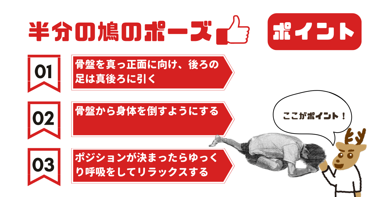 半分の鳩のポーズのポイント